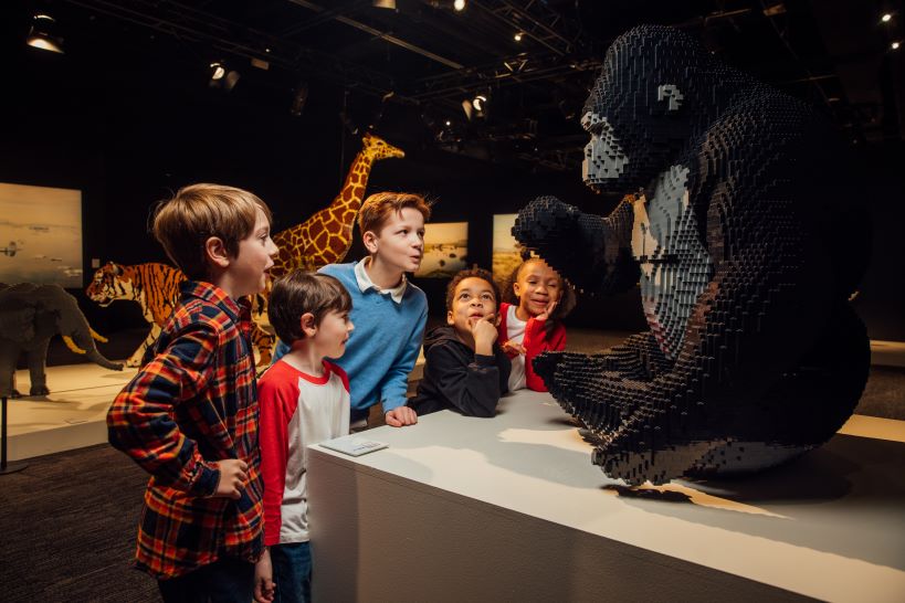 The Art of the Brick The Franklin Institute